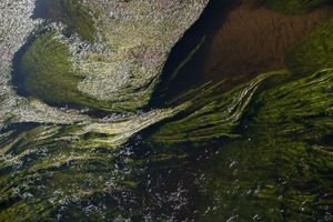 Filmexel&reg; - біоміметичне омолодження фото